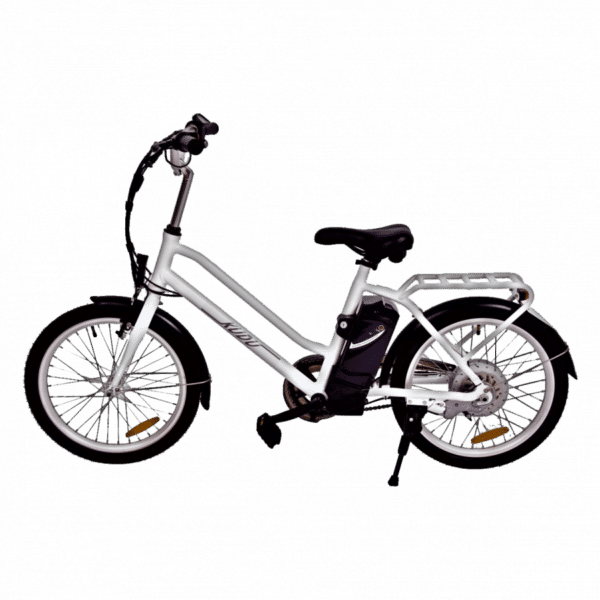 MaximalSG Kudu Electric Bicycle