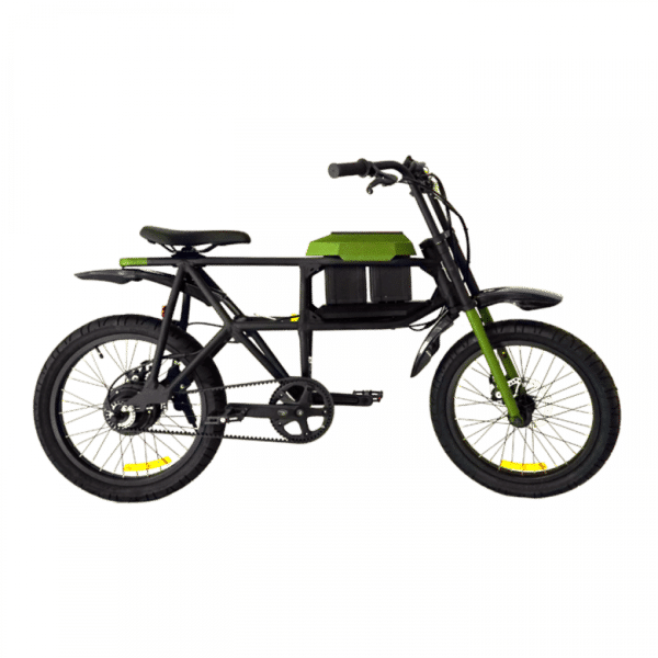 DVX Pedelec Electric Bicycle Green