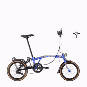 ROYALE Dragon 6 Speed M-Bar Foldable Bicycle