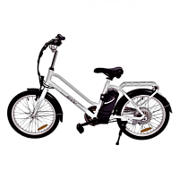 MaximalSG Kudu Electric Bicycle (Used)