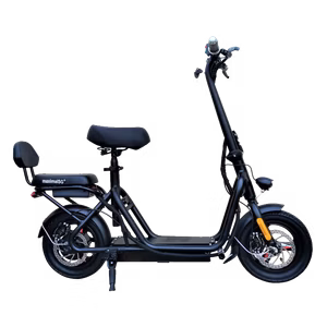 MaximalSG F09s 12.5Ah (F09) UL2272 Certified Electric Scooter