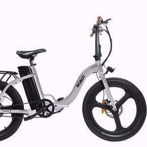Mobot Leader Electric Bicycle with External Battery
