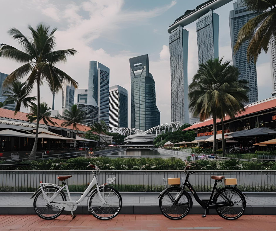 Cycling culture